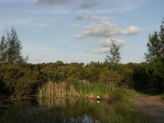 Bennelong Pond in daylight