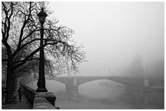 Brumes landscape in mist