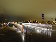 Inderhavnsbroen bridge in Copenhagen at night