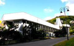 A view of the town Karlovy Vary showcasing its historic architecture along the river and lush greenery in the background