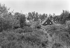 overview of a cemetery with a shed