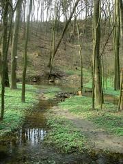 Hostěnické propadání landscape