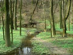 Hostěnické propadání landscape