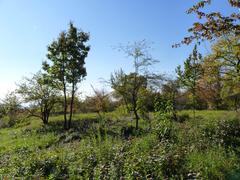 View of Hádecká Planinka National Natural Reserve