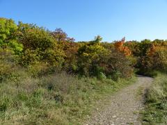 National natural reserve Hádecká Planinka