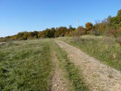 Hádecká Planinka National Natural Reserve in Brno, South Moravia