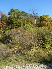 Hádecká Planinka National Natural Reserve