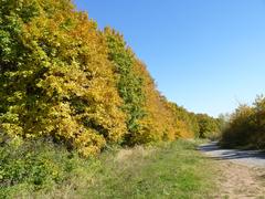 National natural reserve Hádecká Planinka in South Moravian Region, Czech Republic