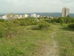 Southern steppe part of the Kamenný vrch nad Myslivnou nature reserve