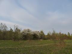 Kamenny vrch nature reserve in Brno, South Moravian Region, Czech Republic