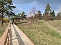 wooden sidewalk in Kamenný vrch nature reserve, Brno