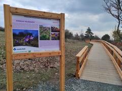 Wooden sidewalk in Kamenný vrch nature reserve