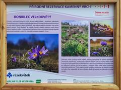 information board at the wooden sidewalk in Kamenný vrch nature reserve