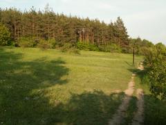 A view of a steppe vegetation island surrounded by forests in the Kamenný vrch nad Myslivnou reserve