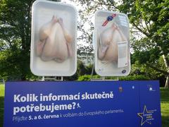 chicken eyecatcher for European Parliament election