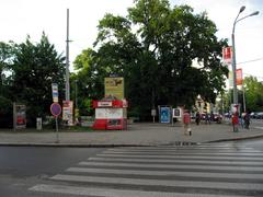 Moravské náměstí square with a large equestrian statue and tree-lined pathways in Brno, Czech Republic