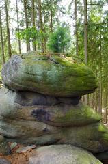 Přírodní památka Moučné pytle, Slavkovský les, okres Sokolov