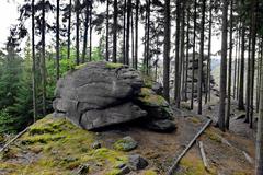 Nature monument Moučné pytle in Slavkovsky les, Sokolov district