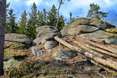 Natural monument Moučné pytle in Slavkovský les forest area