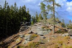 Moučné pytle in Slavkovský les during May 2020