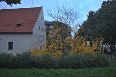 Výtoň customs house during fall in Prague