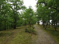 path to Oppidum Závist from Prague in Central Bohemian Region