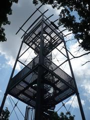 Ostra Horka Observation Tower near Brno