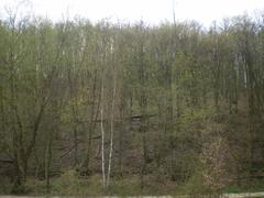 view of the slope of Pekárna protected area in Brno