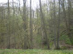 Protected area Pekárna in Brno, hillside view