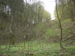 View of Pekárna nature reserve hillside in Brno