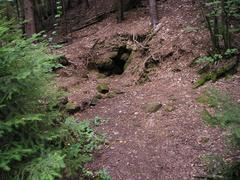 Cave Malá Petrovská in Nature Reserve Petrovka, Bolevec, Pilsen