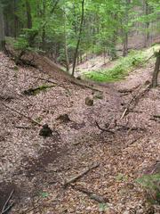 Petrovka nature reserve in Bolevec