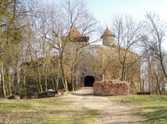 Nový hrad u Adamova on a hillside surrounded by forest