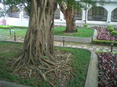 Hong Kong Heritage Discovery Centre in Kowloon Park