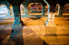 Krog Street Tunnel in Atlanta, GA with vibrant graffiti art on the walls