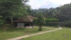 Mousedeer in garden Kuala Lumpur May 2020