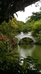 Bridge in Kuala Lumpur Perdana Botanical Garden