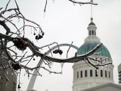 Ice-covered branches in front of the Old Courthouse and Gateway Arch