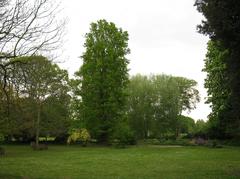 Orleans House Gallery garden