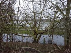 Burgess Field Nature Park view towards Port Meadow