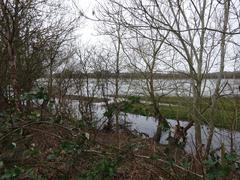 Burgess Field Nature Park view towards Port Meadow