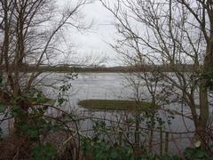 Burgess Field Nature Park view towards Port Meadow