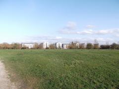 Castle Mill student accommodation blocks from Port Meadow, Oxford