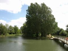 Fiddler's Island seen from footbridge across Castlemill Stream