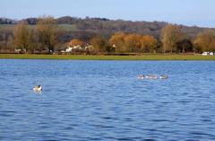 flooding on Port Meadow