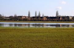 looking across the floods on Port Meadow