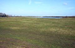 northward view of Port Meadow