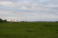 Looking north up Port Meadow