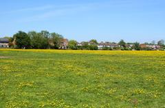 A scenic view of the common area leading to Wolvercote, with cloudy skies and greenery.