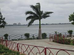 Palm tree at Tank Bund in Hyderabad